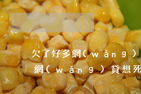 欠了好多網(wǎng)貸想死了(欠了好多網(wǎng)貸想死了)