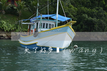 欠了好多網(wǎng)貸沒錢還了怎么辦