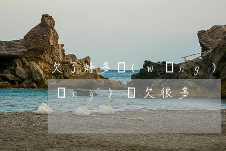 欠了好多網(wǎng)貸的錢好累(網(wǎng)貸欠很多)