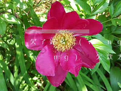 欠了好多網(wǎng)貸的錢怎么辦(網(wǎng)貸欠款太多怎么辦)