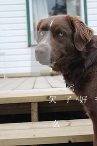 欠了好多網(wǎng)貸真的沒有錢還怎么辦(網(wǎng)貸現(xiàn)在沒有錢還怎么辦)