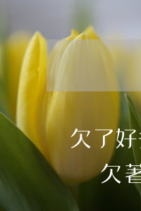 欠了好多網(wǎng)貸辦信用卡能通過嗎(欠著網(wǎng)貸能申請信用卡嗎)