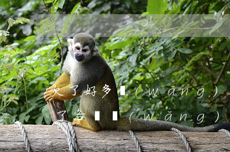 欠了好多網(wǎng)貸還不上怎么辦(欠了各種網(wǎng)貸還不上怎么辦)