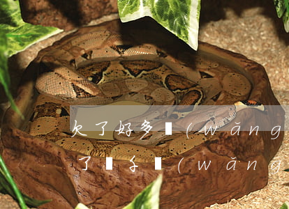 欠了好多網(wǎng)貸還不起了視頻(欠了幾千網(wǎng)貸還不上怎么辦)