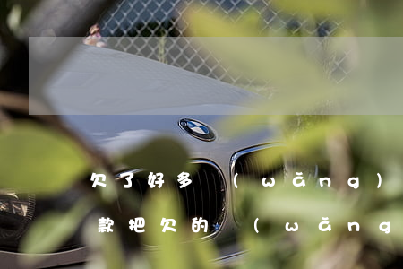 欠了好多網(wǎng)貸還想貸(想貸一筆款,把欠的網(wǎng)貸全還了,怎么就那么難)