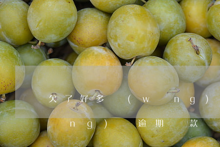 欠了好多網(wǎng)貸 還款順序(網(wǎng)貸逾期還款順序)