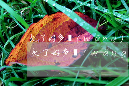 欠了好多網(wǎng)貸還能辦信用卡嗎(欠了好多網(wǎng)貸還能辦信用卡嗎)