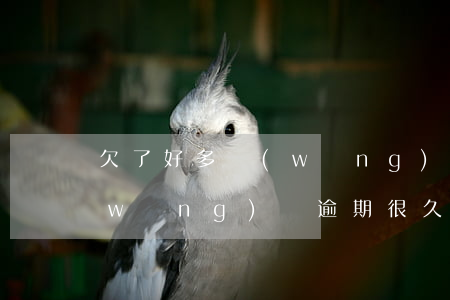 欠了好多網(wǎng)貸馬上逾期了(網(wǎng)貸逾期很久了現(xiàn)在想還款了)