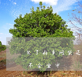 欠了好多网贷还不了会坐牢吗(网贷还不起会不会坐牢)