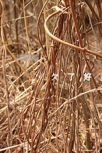 欠了好多网贷还能贷吗(欠了很多网贷怎么还)