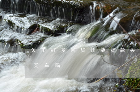 欠了好多网贷还能贷款买车吗(还欠着网贷能买车吗)