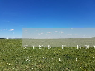 欠了好多銀行錢逾期了(欠銀行錢一般逾期多久會(huì)聯(lián)系你)
