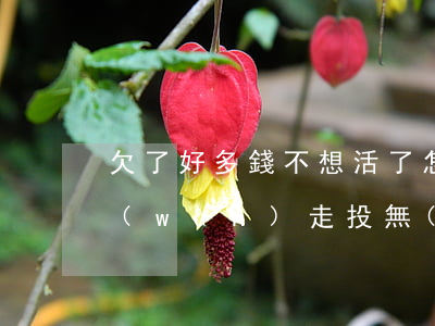 欠了好多錢不想活了怎么辦-欠了100萬(wàn)走投無(wú)路了怎么辦