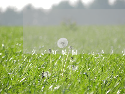 欠了好幾個(gè)小網(wǎng)貸