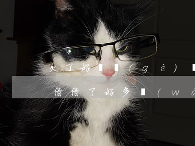欠了好幾個(gè)網(wǎng)貸還想借(借了好多網(wǎng)貸)