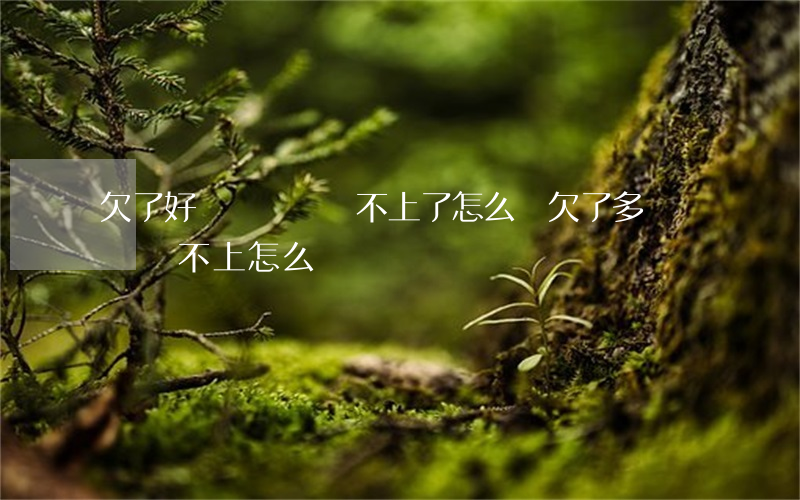 欠了好幾個網貸還不上了怎么辦(欠了多個網貸還不上怎么辦)