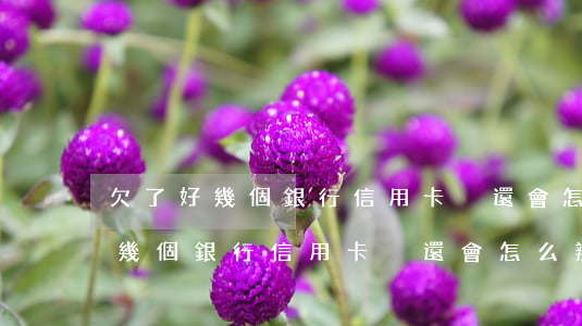 欠了好幾個銀行信用卡沒還會怎么辦(欠了好幾個銀行信用卡沒還會怎么辦)