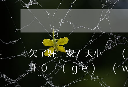 欠了好幾家7天小額網(wǎng)貸(欠了10個(gè)網(wǎng)貸)