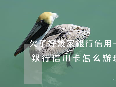 欠了好幾家銀行信用卡怎么辦-欠了好幾家銀行信用卡怎么辦理