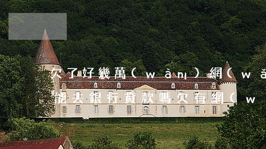 欠了好幾萬(wàn)網(wǎng)貸還能去銀行貸款嗎(欠有網(wǎng)貸還能在銀行貸款嗎)