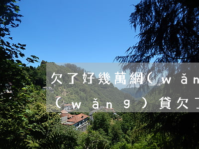 欠了好幾萬網(wǎng)貸不還怎么辦(網(wǎng)貸欠了幾十萬還不起怎辦)