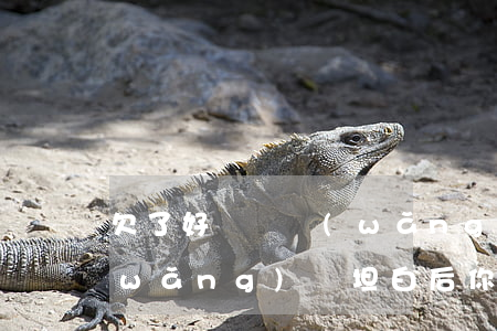 欠了好幾萬網(wǎng)貸坦白了(欠網(wǎng)貸坦白后你們都怎么樣了)