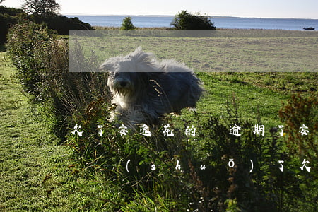 欠了安逸花的錢逾期了(安逸花欠款可以不還嗎,說(shuō)了欠了兩千多)