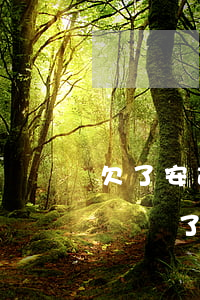 欠了安逸花的錢逾期了(安逸花欠款可以不還嗎,說了欠了兩千多)