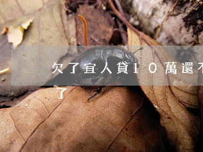 欠了宜人貸10萬還不上(宜人貸還清不給貸了)