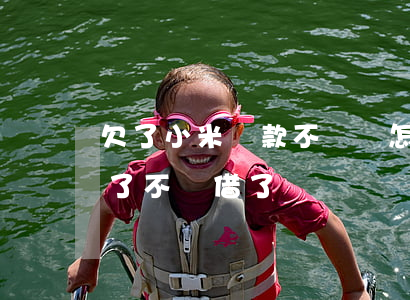 欠了小米貸款不還會怎樣(小米貸款為什么還了不給借了)
