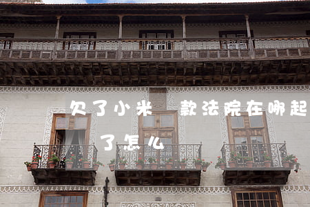 欠了小米貸款法院在哪起訴我呢(小米貸款起訴了怎么辦)