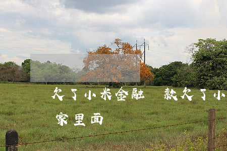 欠了小米金融貸款(欠了小米金融貸款,會找到家里面來嗎?)