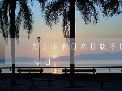 欠了小米錢包貸款不還可以(小米錢包貸款可信嗎)