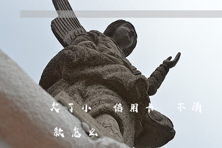 欠了小貸信用卡還不清(實在還不上信用卡欠款怎么辦)
