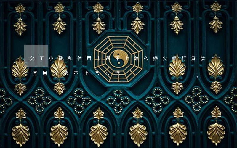 欠了小貸和信用卡還不上怎么辦(欠銀行貸款信用卡還不上怎么辦)