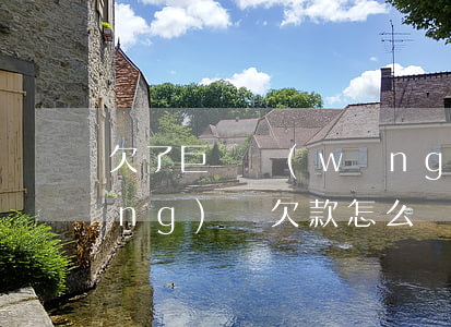 欠了巨額網(wǎng)貸怎么還(網(wǎng)貸欠款怎么還)