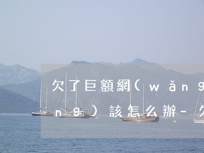 欠了巨額網(wǎng)貸還不上應(yīng)該怎么辦-欠了巨額網(wǎng)貸還不上應(yīng)該怎么辦呢