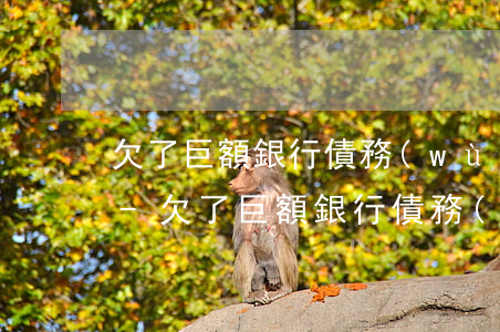 欠了巨額銀行債務(wù)無力償還怎么辦-欠了巨額銀行債務(wù)無力償還怎么辦呢