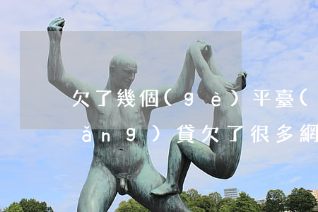 欠了幾個(gè)平臺(tái)的網(wǎng)貸(欠了很多網(wǎng)貸)