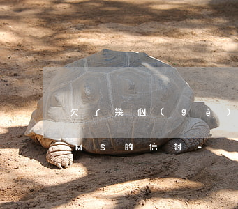 欠了幾個(gè)網(wǎng)貸收到EMS的信封-
