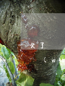 欠了幾個網(wǎng)貸一共2萬怎么辦(網(wǎng)貸欠2萬,我該怎么辦啊)