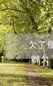 欠了幾十個(gè)網(wǎng)貸怎么辦(欠了幾十萬網(wǎng)貸)
