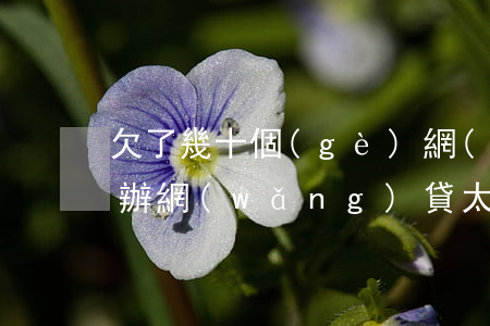 欠了幾十個(gè)網(wǎng)貸怎么辦(網(wǎng)貸太多還不上怎么辦欠了好幾十個(gè))