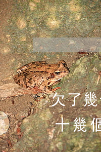 欠了幾十個(gè)網(wǎng)貸逾期(十幾個(gè)網(wǎng)貸逾期兩年)