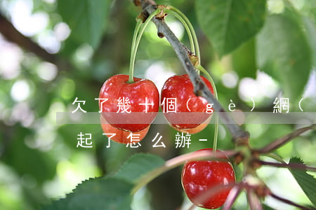 欠了幾十個(gè)網(wǎng)貸還不起了怎么辦-