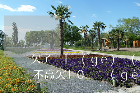 欠了幾十個(gè)網(wǎng)貸額度不高(欠10幾個(gè)網(wǎng)貸還不起了)