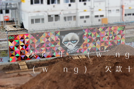 欠了幾十個網(wǎng)貸不還怎么辦(網(wǎng)貸欠款十幾萬還不起怎么辦)