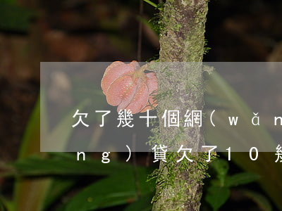 欠了幾十個網(wǎng)貸(各種網(wǎng)貸欠了10幾萬)