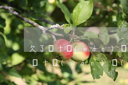 欠了幾十萬(wàn)無(wú)力償還(欠幾十萬(wàn)無(wú)力償還會(huì)被拘留嗎)