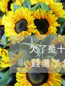 欠了幾十萬(wàn)網(wǎng)貸沒錢還了怎么辦(欠幾萬(wàn)塊網(wǎng)貸沒錢還該怎么辦)